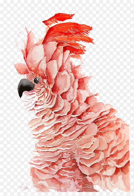 ������ˮ�ʻ�-������-������