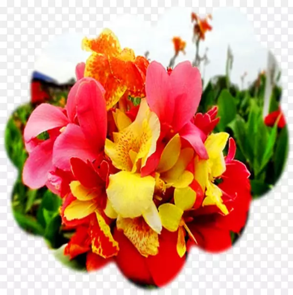 ʳ�����˽����ӻ��껨-������