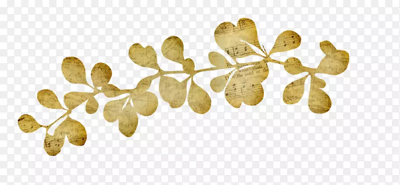 Ҷ��Ʒ-Ҷ-������