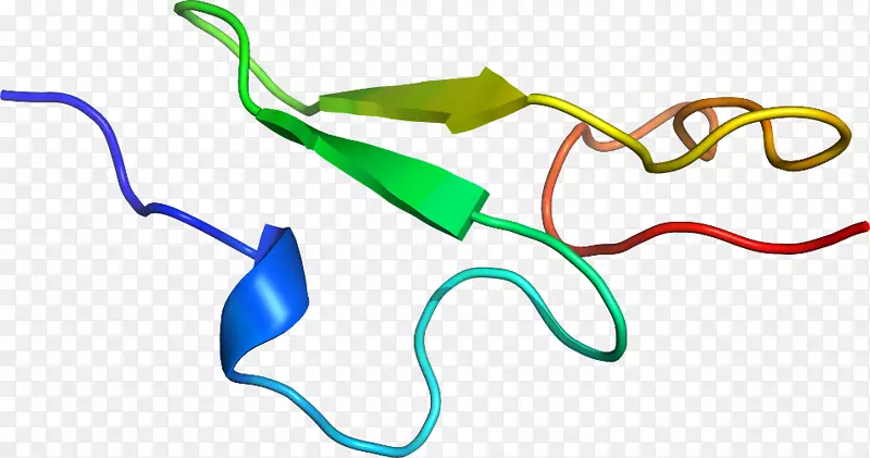 �ߵ������-��-������