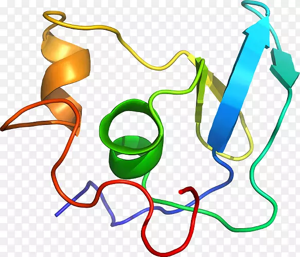 �ߵ������-��-������