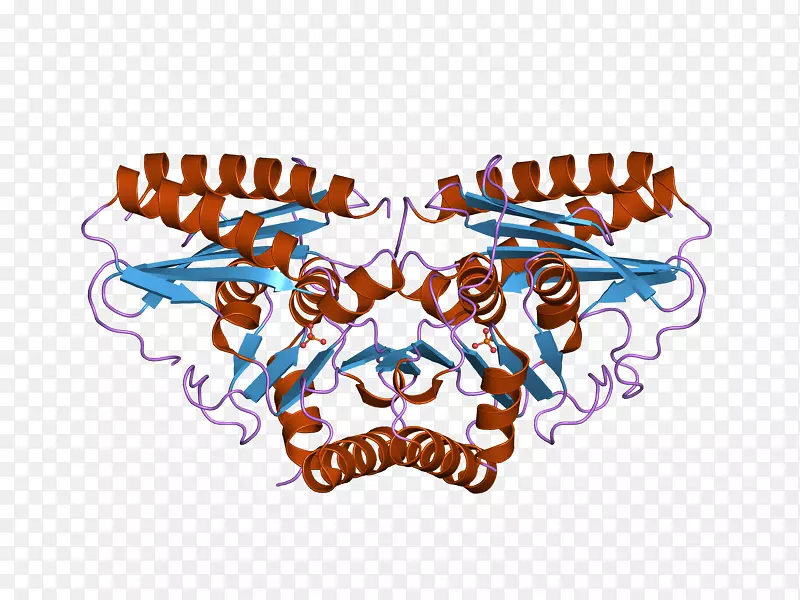 ����Ǳ�־������-������