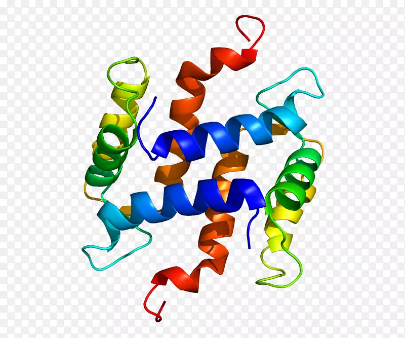 �����߶����������-������