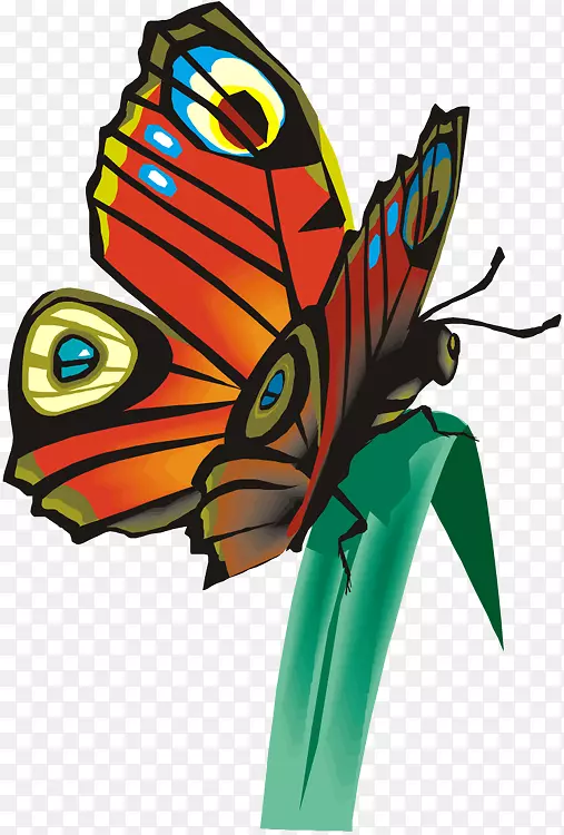 ����������ëˢ�����������������������.����-������