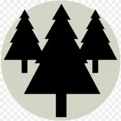 ����������ɫ�����-������