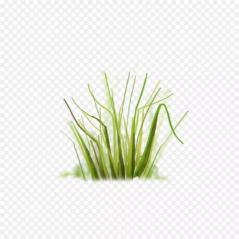 �ݼ�����-��-������