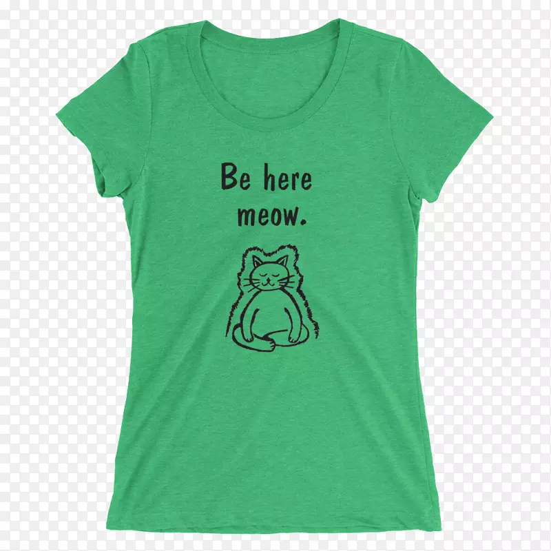 t��������ñ��-������