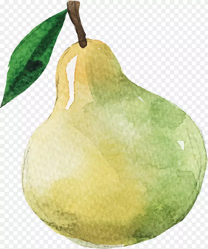 ѩ���ϼ������ֻ���-������