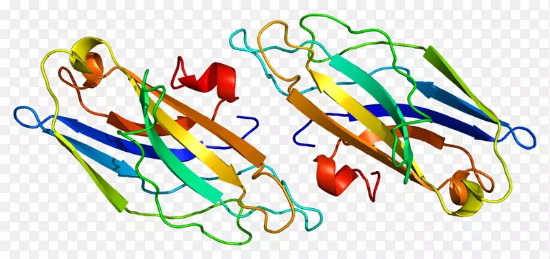 �ߵ������������-������