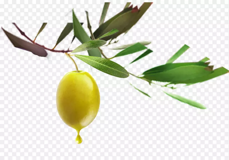 ����¸���˹�����Ϧ-���������ˮ��-������