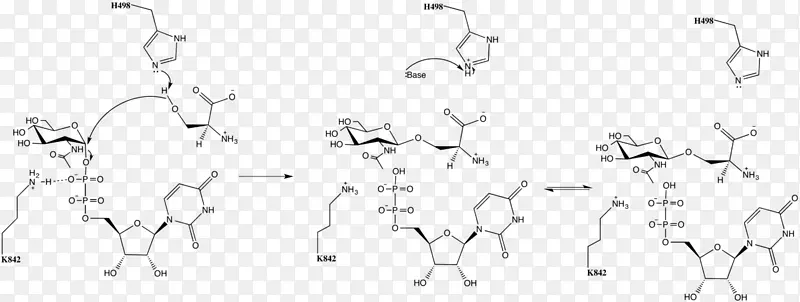 ��ɫ��������-������