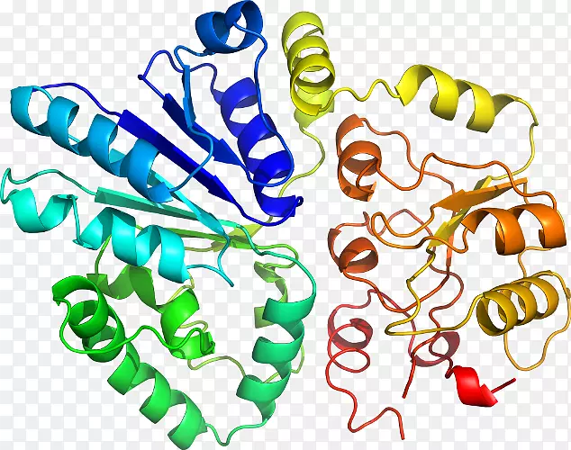 ���������л����߼�������-������