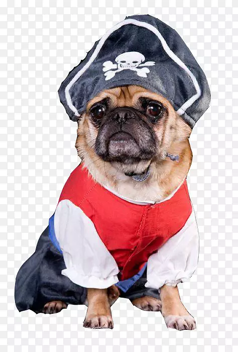 �ɰ���С��-����-������