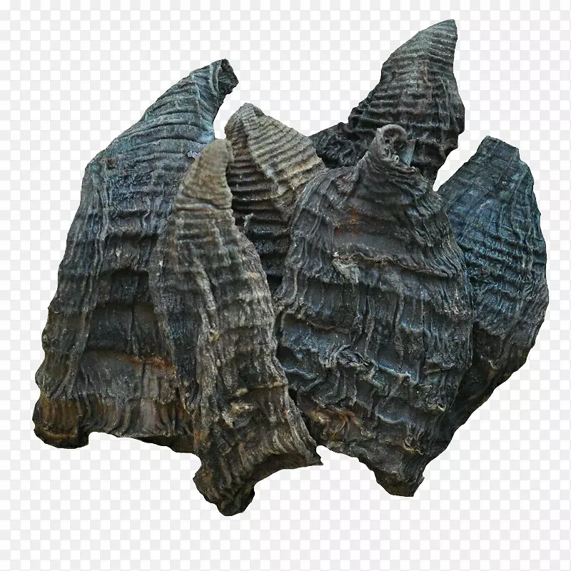 ʳƷ��������ͳʳƷ�������-������