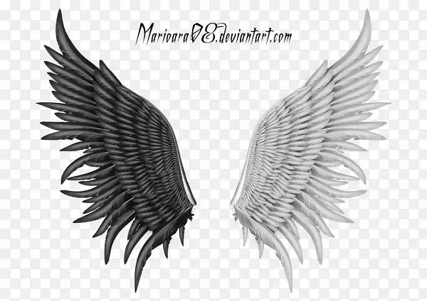 ��ʹ��ë-������