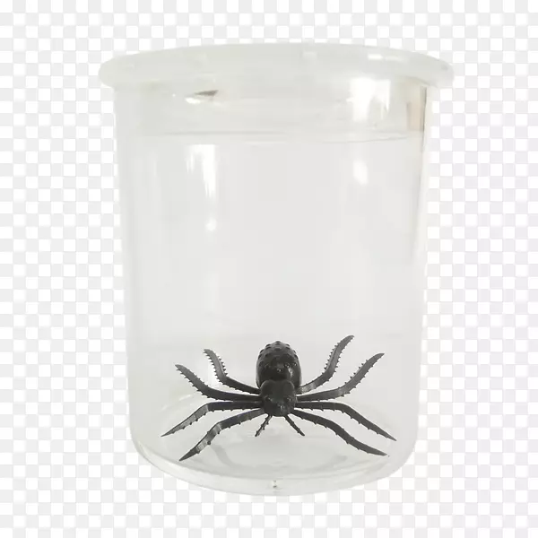 ������CTICѧϰ�̵�չʾ-������