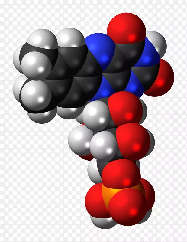 ̨ʽ��ֽ�������ֽ����-������