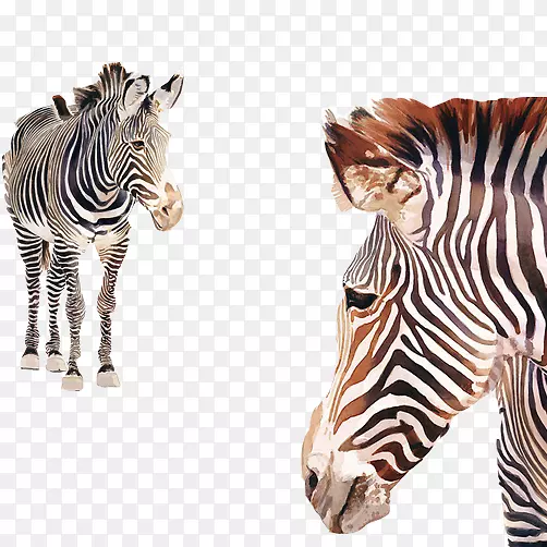 ��ˮ�ʻ�������������ˮ�ʻ��ز�����-������