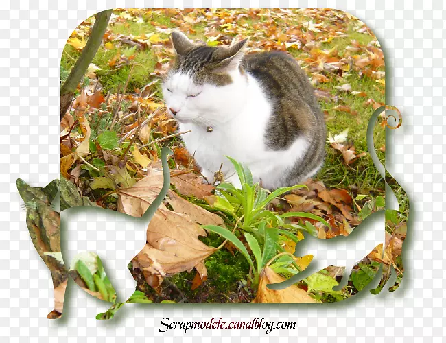 �������-������