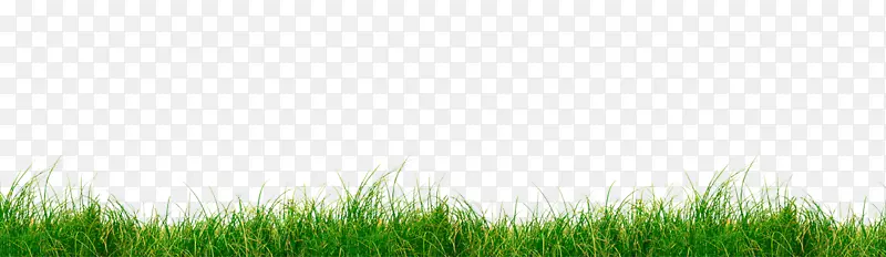 ��ݲ�ƺ�ݵ����plc-���-������