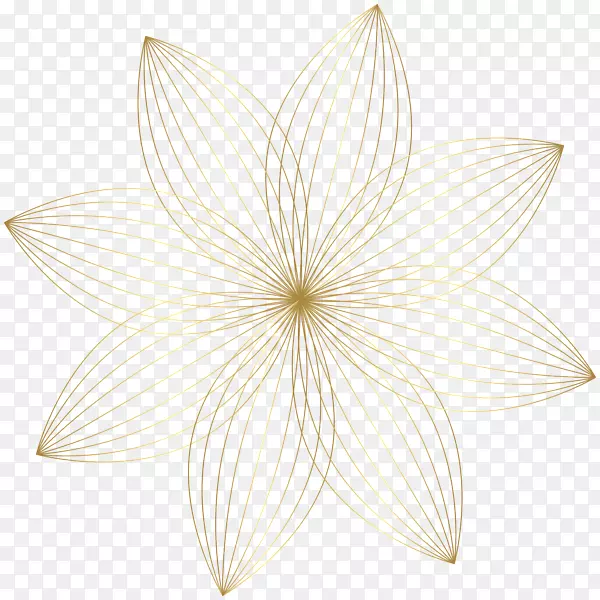 ����Գ�nelumbo nucifera-��װ��-������