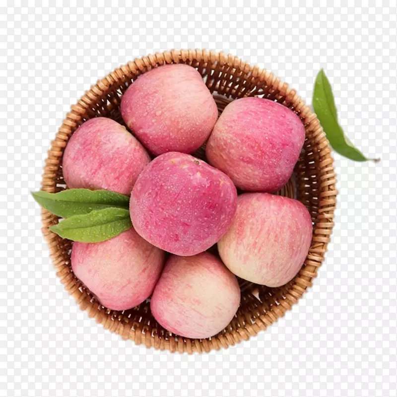 ƻ���ɸ�ʿ��-������