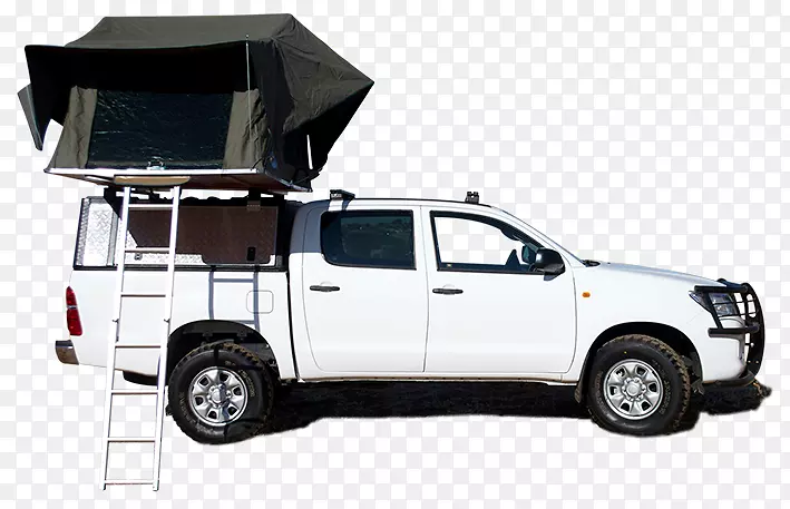 ����ϣ¬Ƥ������������·-������