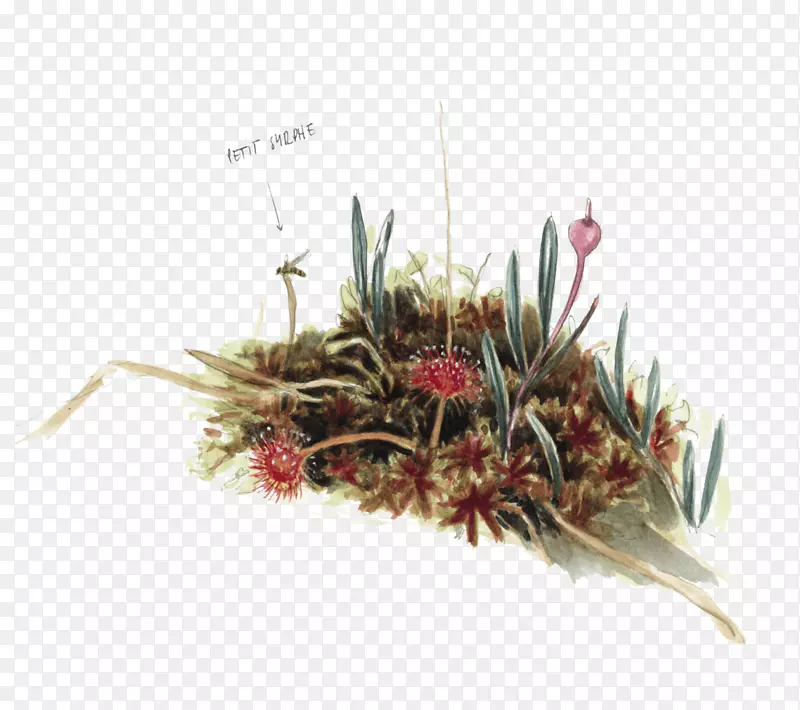 �ݿ�-������