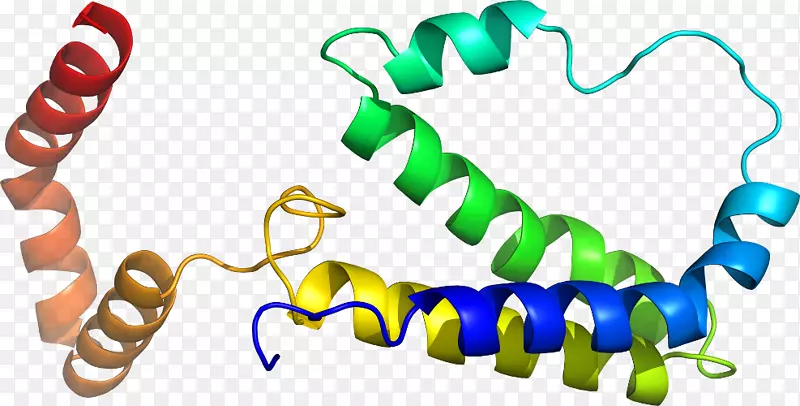 ���������л����߼�������-������