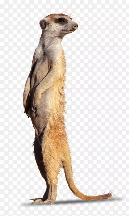 è��ë½��������Ӽ���-������