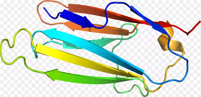 �ߵ������-��-������