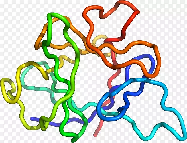 ���������л����߼�������-������