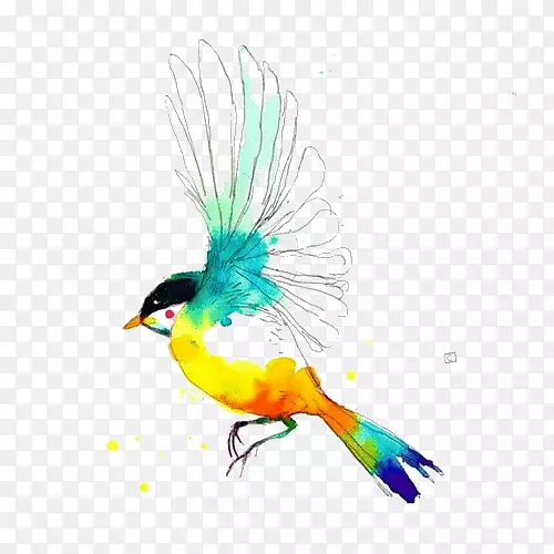 ˮ�ʻ�ˮ�ʻ�-������