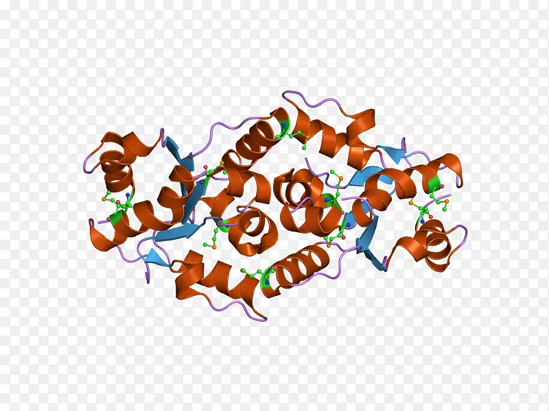 ʳ�������-������