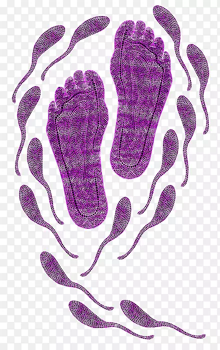 �����Ĵ������˰Ĵ�������������-������