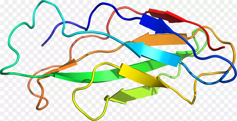 �ߵ������-��-������