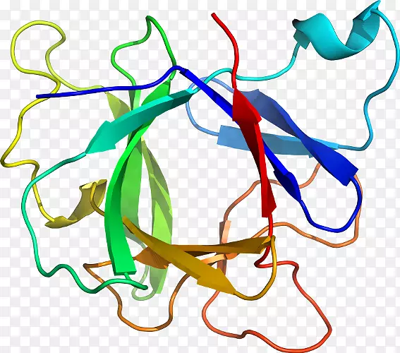 �ߵ������������-������