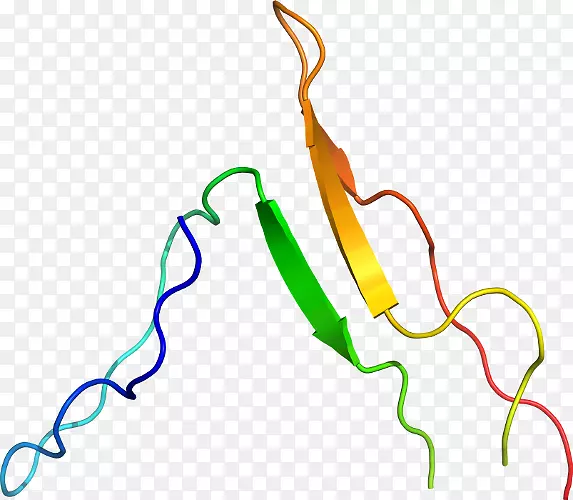 �ߵ������-��-������