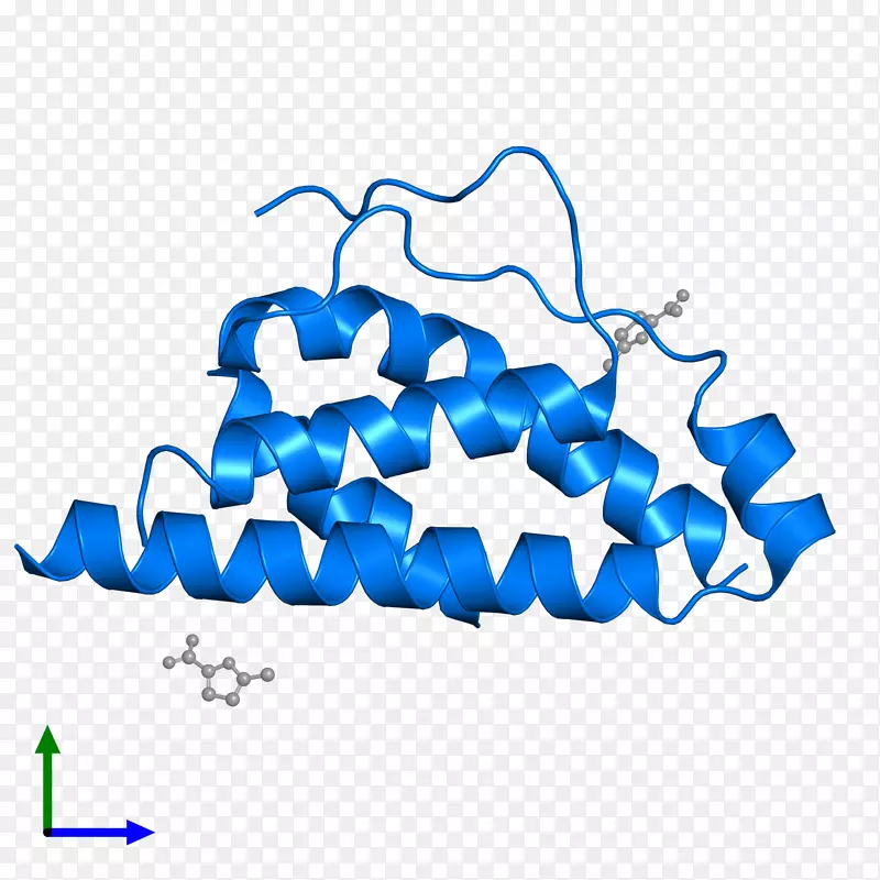 �ߵ������-��-������