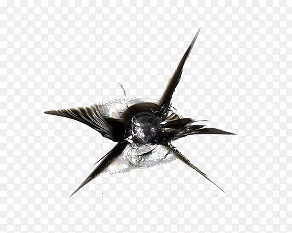 �������粣�������ɼ��ճ����粣���ѷ�-������