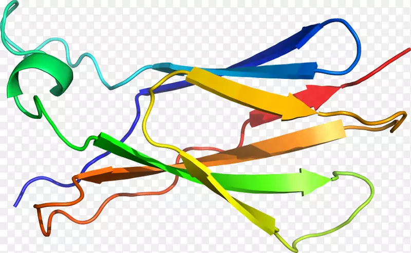 �ߵ������-��-������