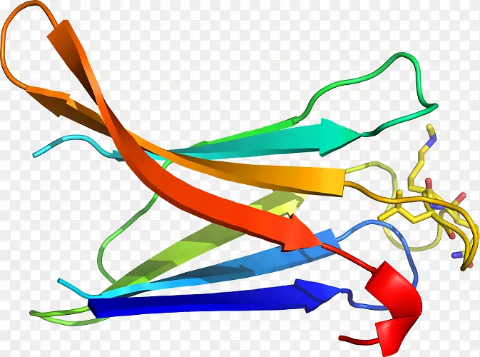 �ߵ������-��-������