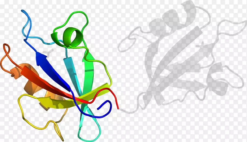 ƽ����Ƽ�����.���-������