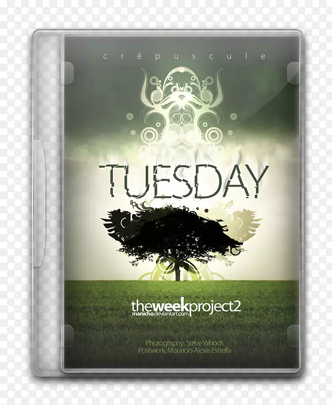 �����ֽ����.����-������