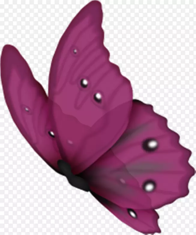 �������������ռ�-WC-������