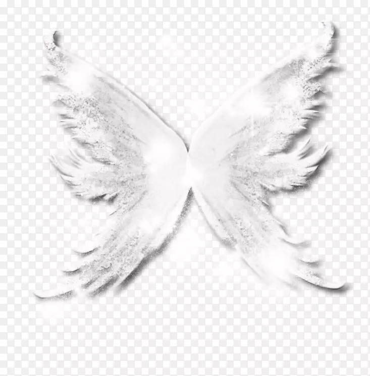 ����Ů���-������