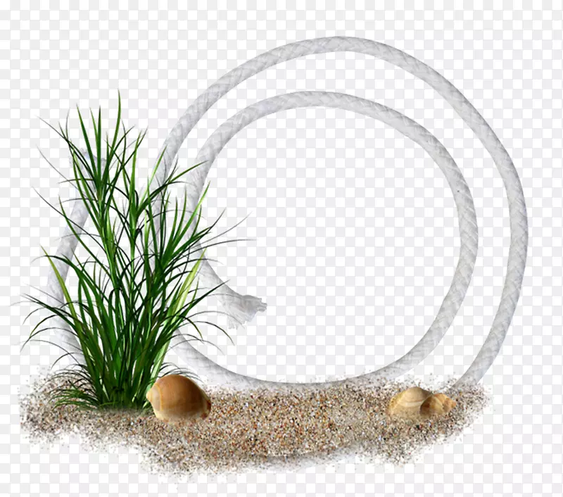 ��Ӱ�������ʼ���������-������