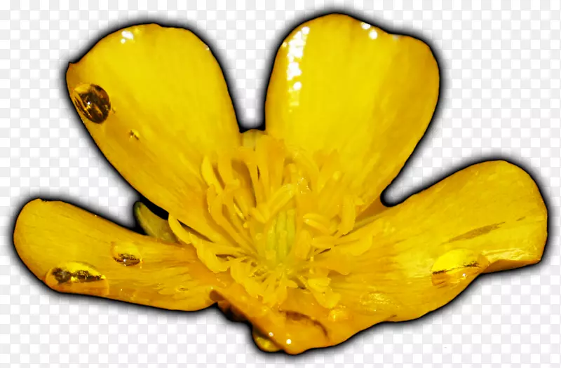 ˢ���ʸ��˵�����ʾ������ITX���ڻ���-������