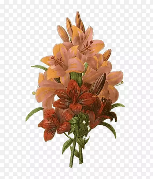 �л�����ʮ����-������