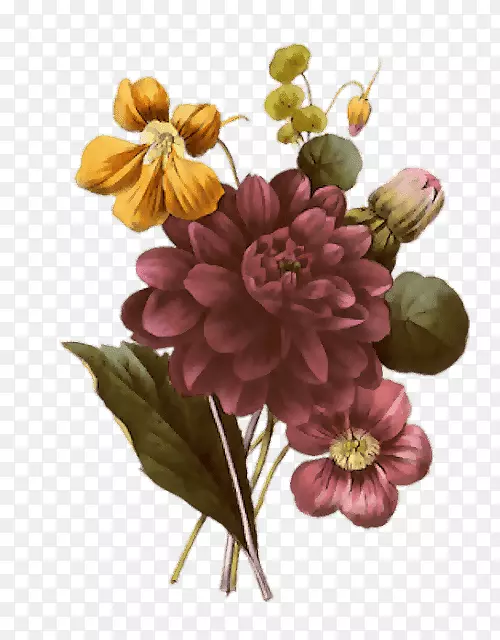 ������Ӱõ�廭-����-������